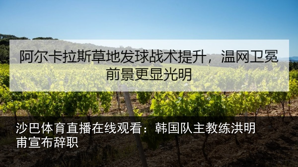 沙巴体育直播在线观看：韩国队主教练洪明甫宣布辞职