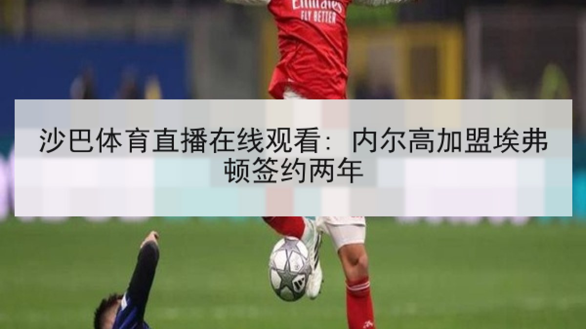 沙巴体育直播在线观看: 内尔高加盟埃弗顿签约两年