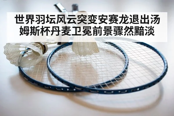 badminton racket