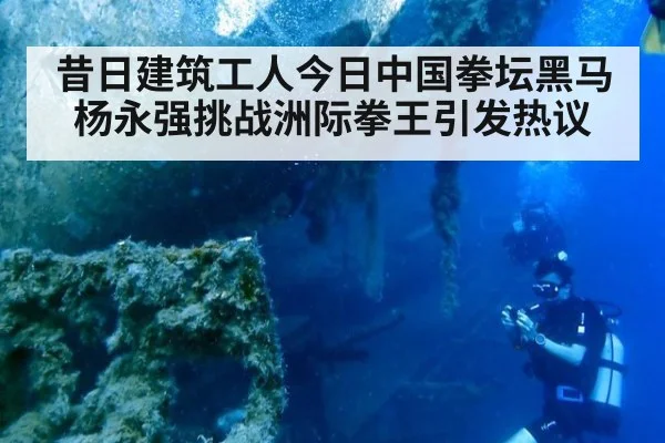 昔日建筑工人今日中国拳坛黑马杨永强挑战洲际拳王引发热议