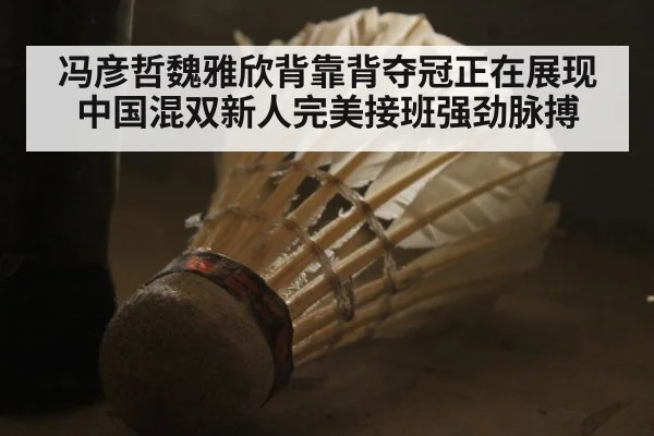 冯彦哲魏雅欣背靠背夺冠正在展现中国混双新人完美接班强劲脉搏